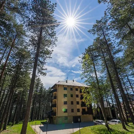 Apartament Art2 Palisat